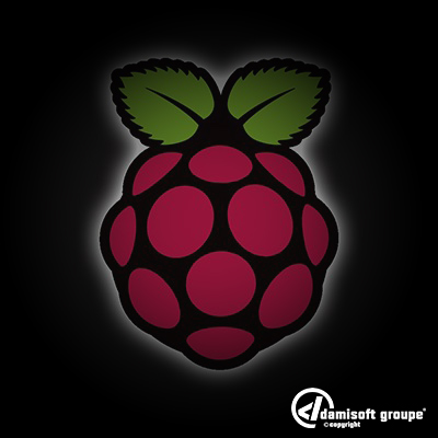 Damisoft Raspberry PI Logo Icon Cover OS 2023
