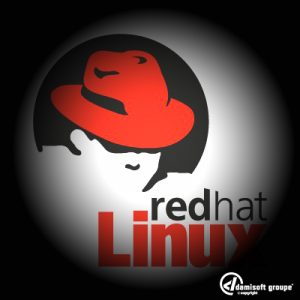 Red Hat Linux Icon Damisoft Logo 2023