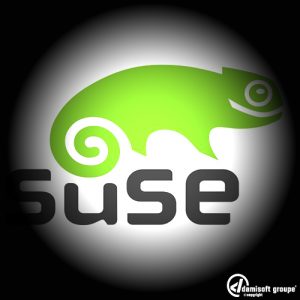 Open SUSE Damisoft Linux Icon 2023
