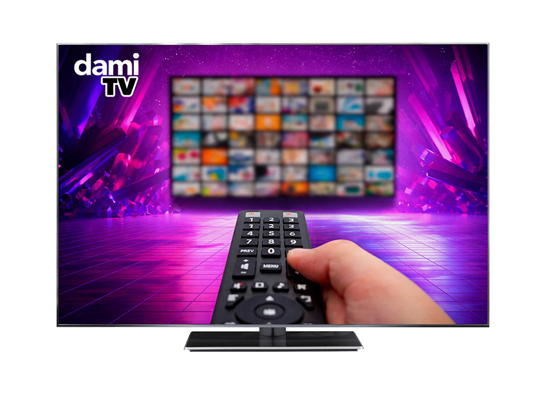 damitv IPTV Damisoft 2026 Original TV Fernsehen Screen Fernbedienung
